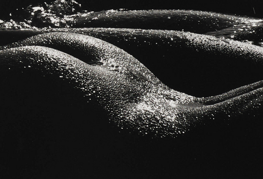 "Les géantes, Camargue" - Lucien Clergue. 1972, printed 1978