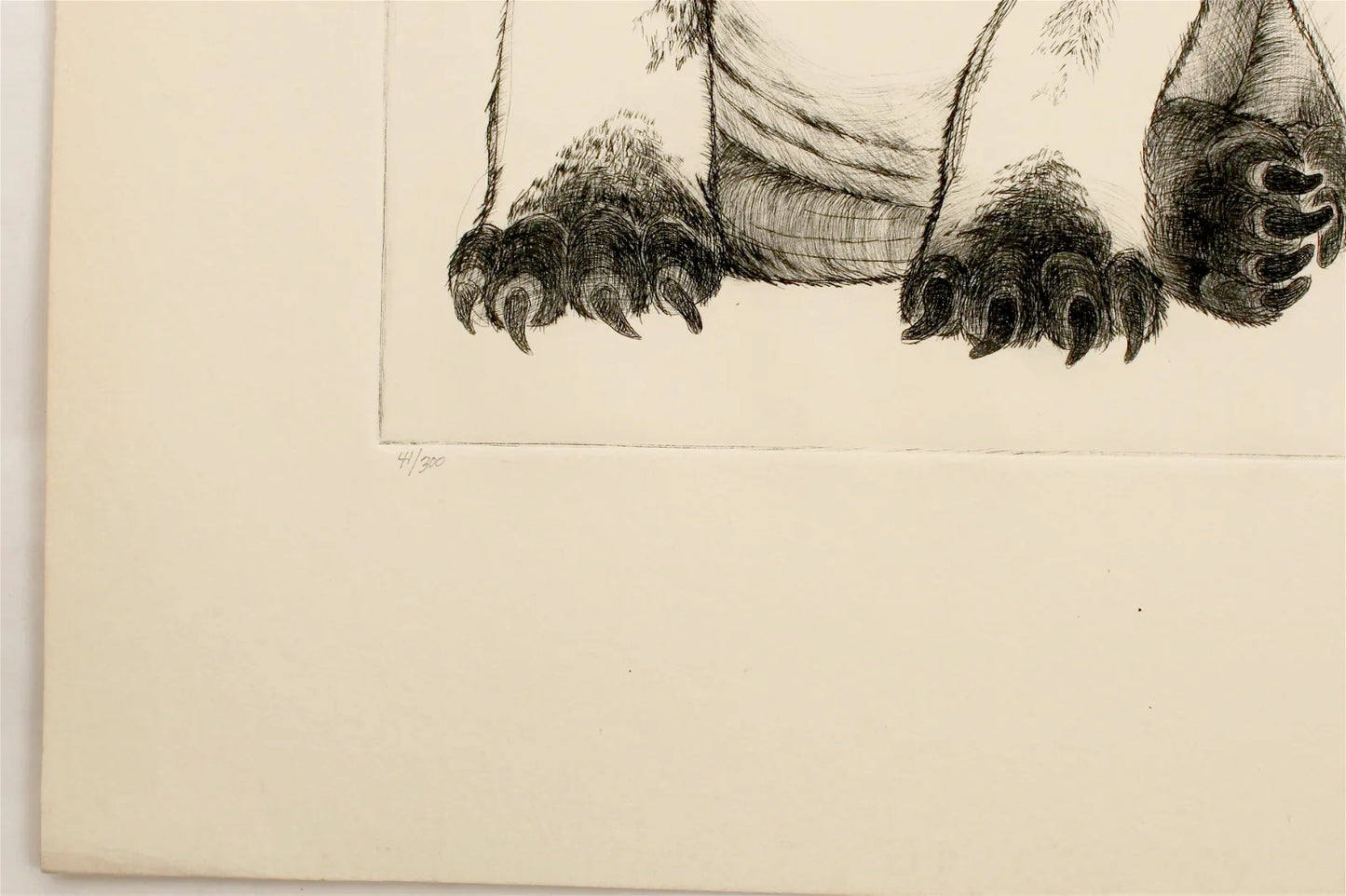 PFA12 "Puppies" etching by Christine McGinnis, Printed by David Lynch