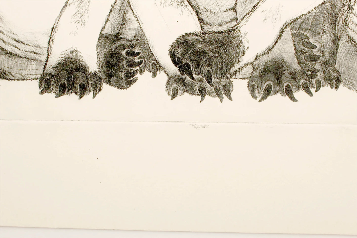 PFA12 "Puppies" etching by Christine McGinnis, Printed by David Lynch