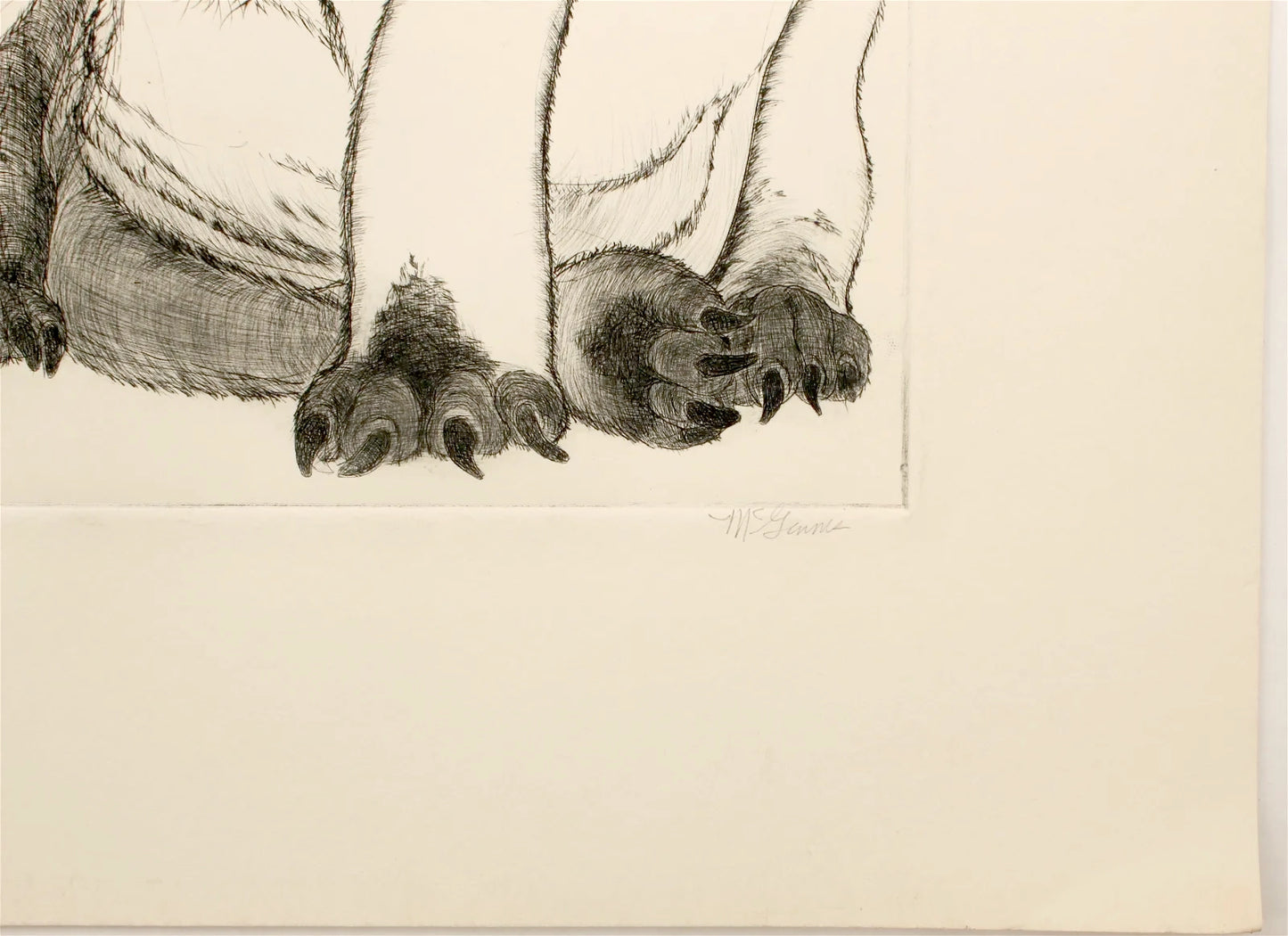 PFA12 "Puppies" etching by Christine McGinnis, Printed by David Lynch