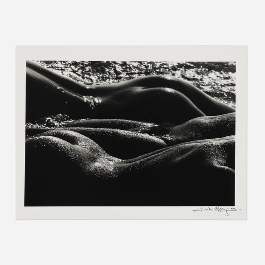 "Les géantes, Camargue" - Lucien Clergue.  1972, printed 1978