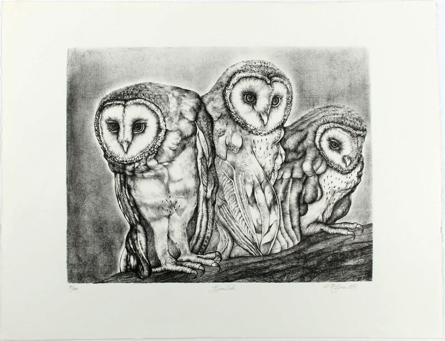 PFA11 - "Barn Owls" Lithograph by Christine McGinnis, Printed by David Lynch, 1978