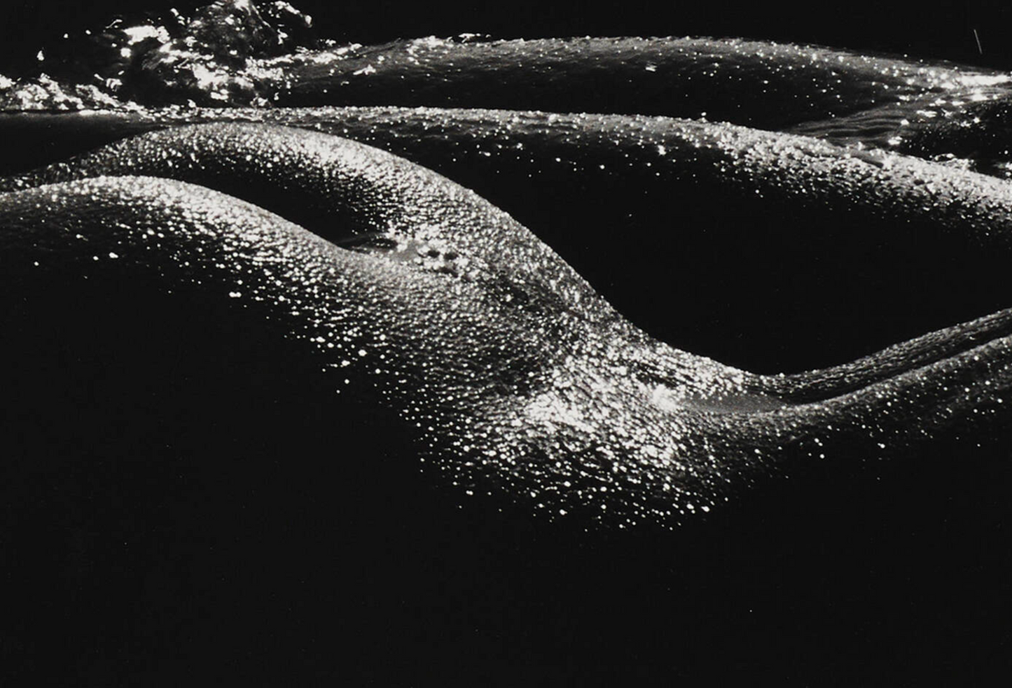 "Les géantes, Camargue" - Lucien Clergue.  1972, printed 1978