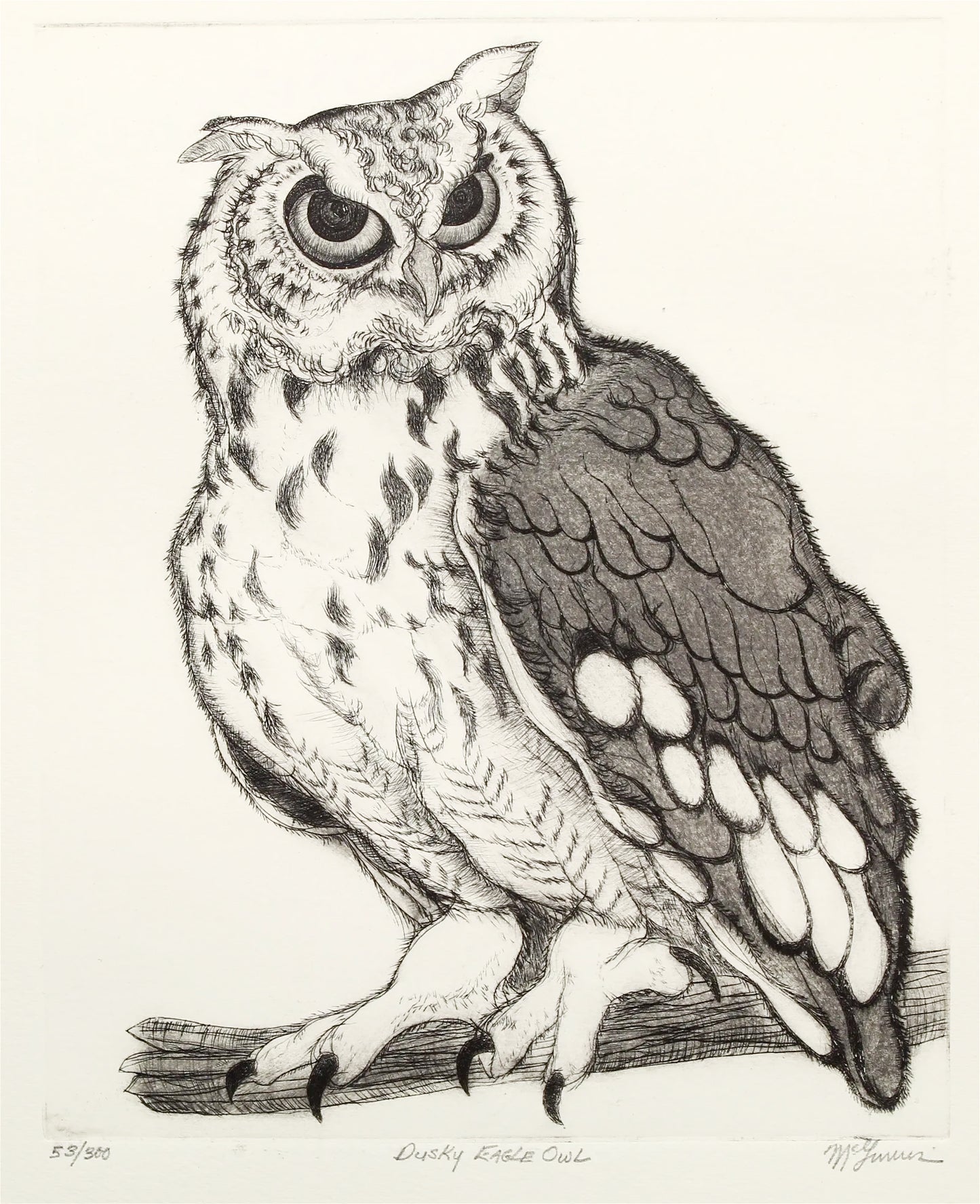 PFA11 "Dusky Eagle Owl" etching by Christine McGinnis, Printed by David Lynch ca. 1967