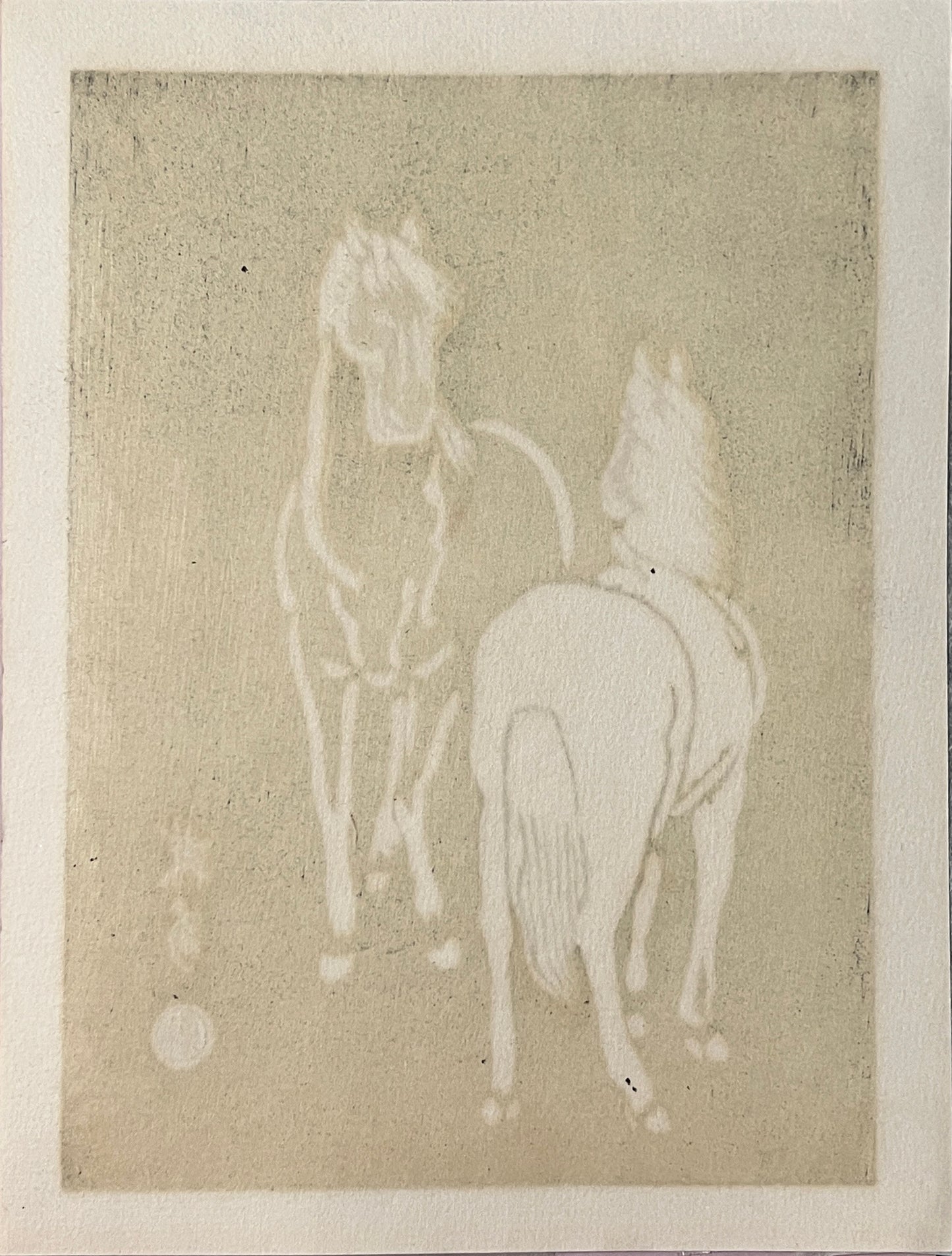 PFA10 "Mare and Stallion" from 'Horses, White on Black' Wood Block set of 6