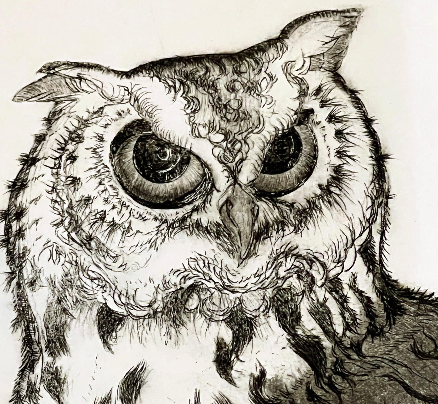 PFA11 "Dusky Eagle Owl" etching by Christine McGinnis, Printed by David Lynch ca. 1967