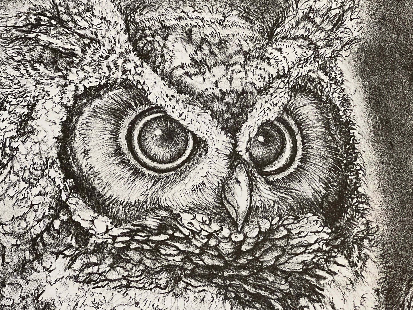 PFA11 - "Great Horned Owls" Lithograph by Christine McGinnis, Printed by David Lynch