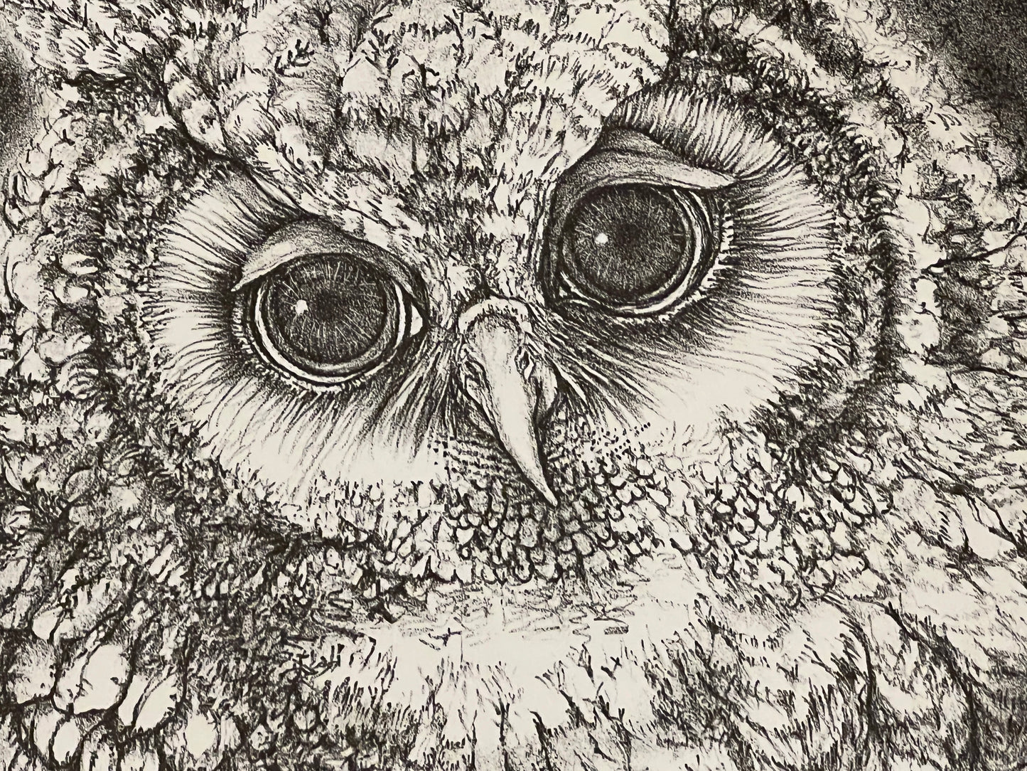 PFA11 - "Great Horned Owls" Lithograph by Christine McGinnis, Printed by David Lynch