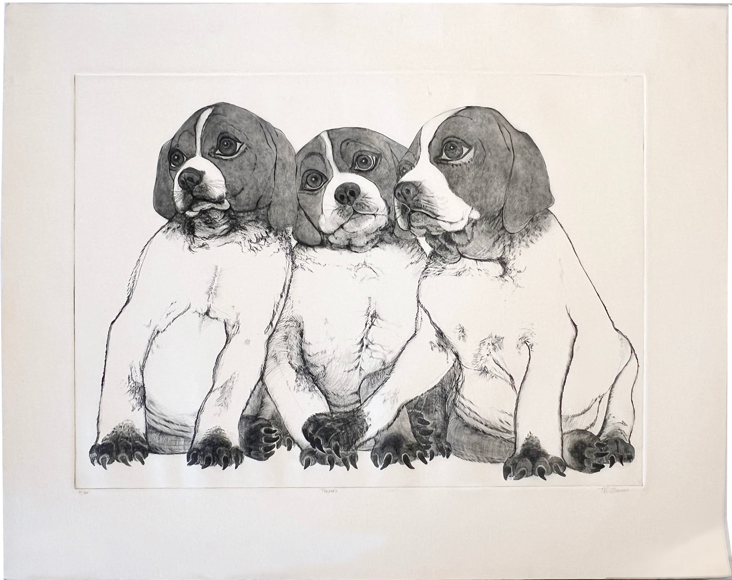 PFA12 "Puppies" etching by Christine McGinnis, Printed by David Lynch