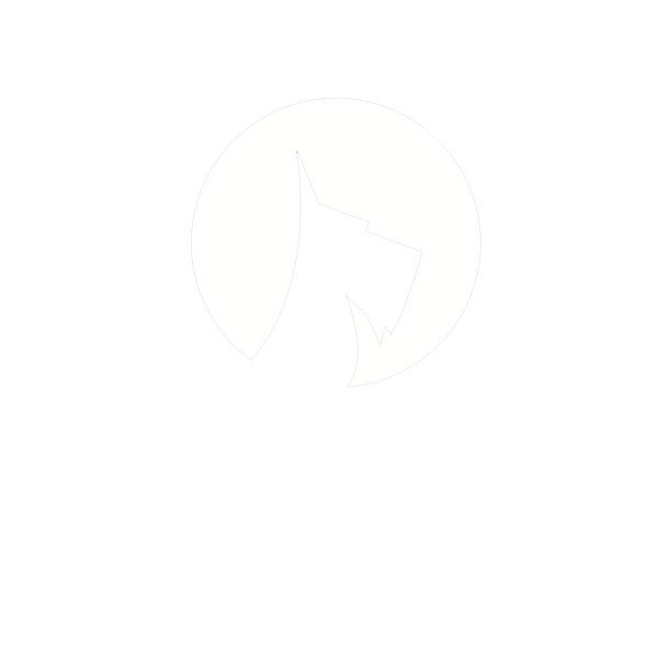 SxD Fine Art