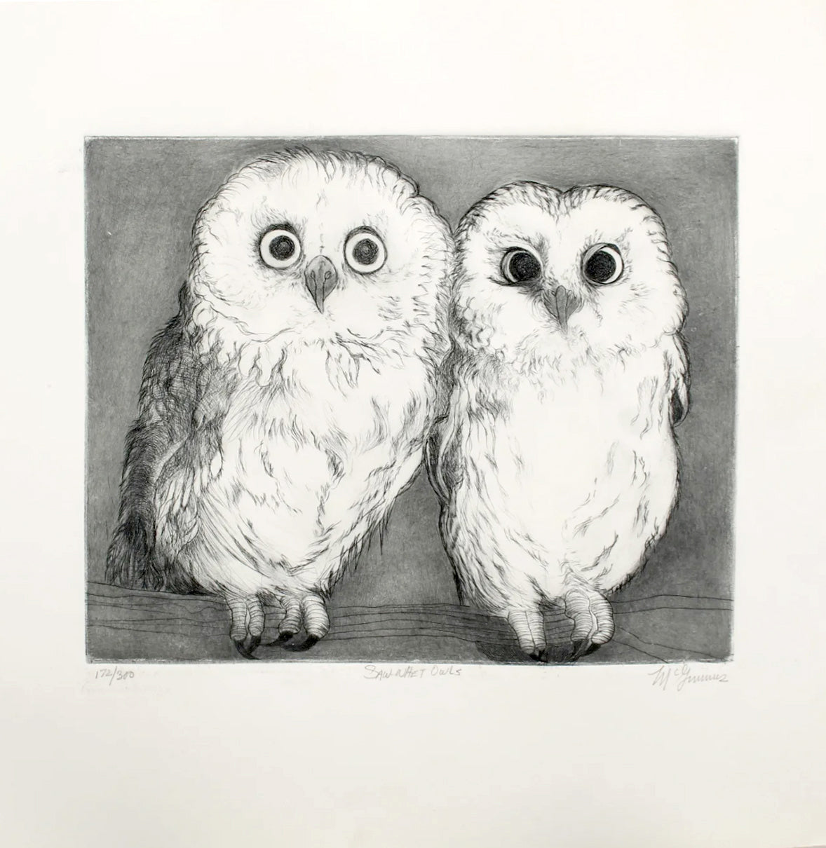 PFA11 "Saw-Whet Owls" etching by Christine McGinnis, Printed by David Lynch, ca. 1970