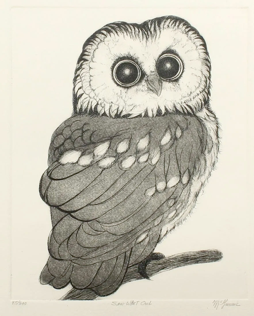 PFA11 "Saw-Whet Owl" etching by Christine McGinnis, Printed by David Lynch cs. 1970