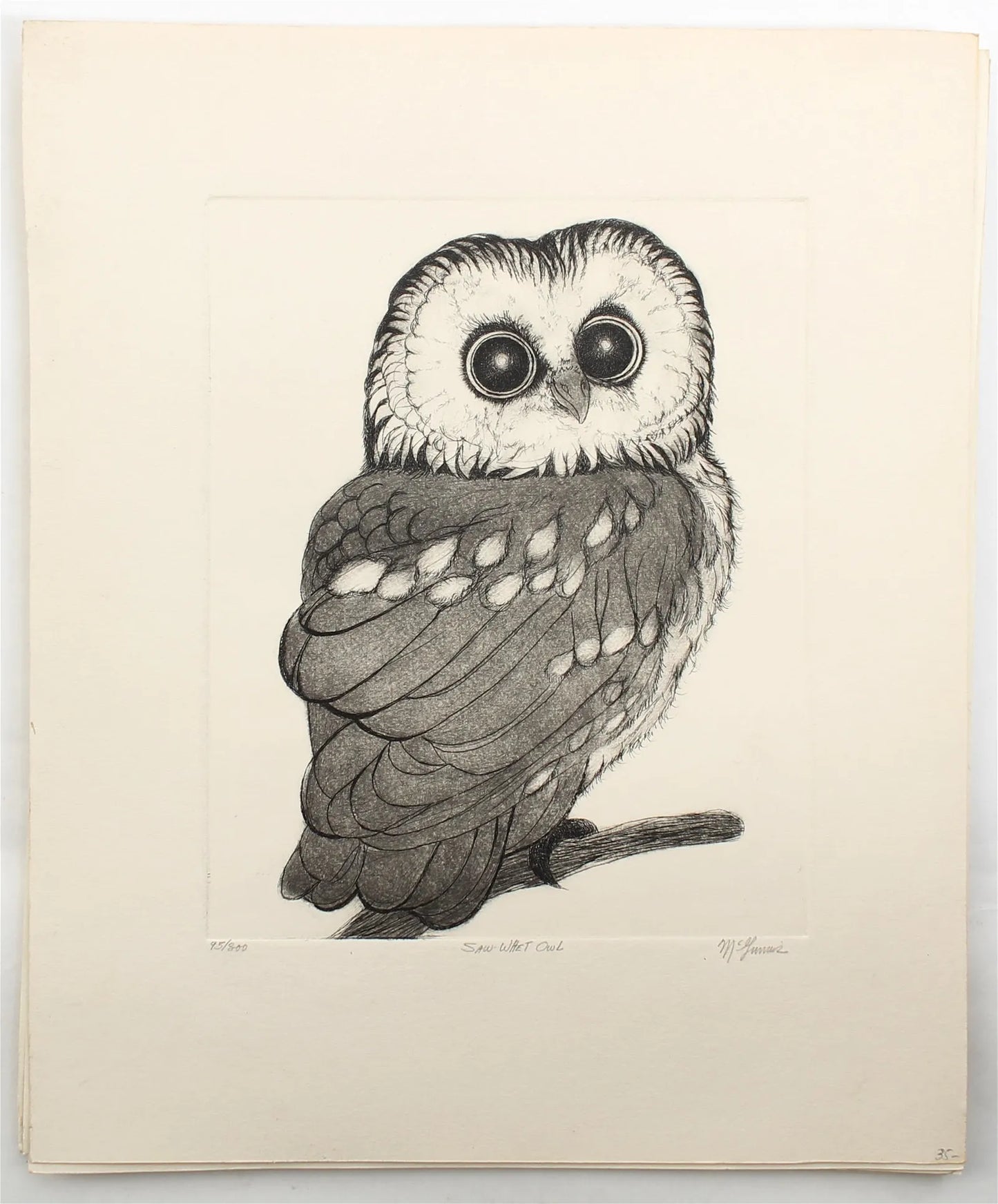 PFA11 "Saw-Whet Owl" etching by Christine McGinnis, Printed by David Lynch cs. 1970