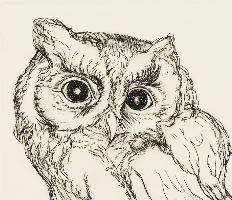 PFA11 "Two Screech Owls" etching by Christine McGinnis, Printed by David Lynch ca. 1968