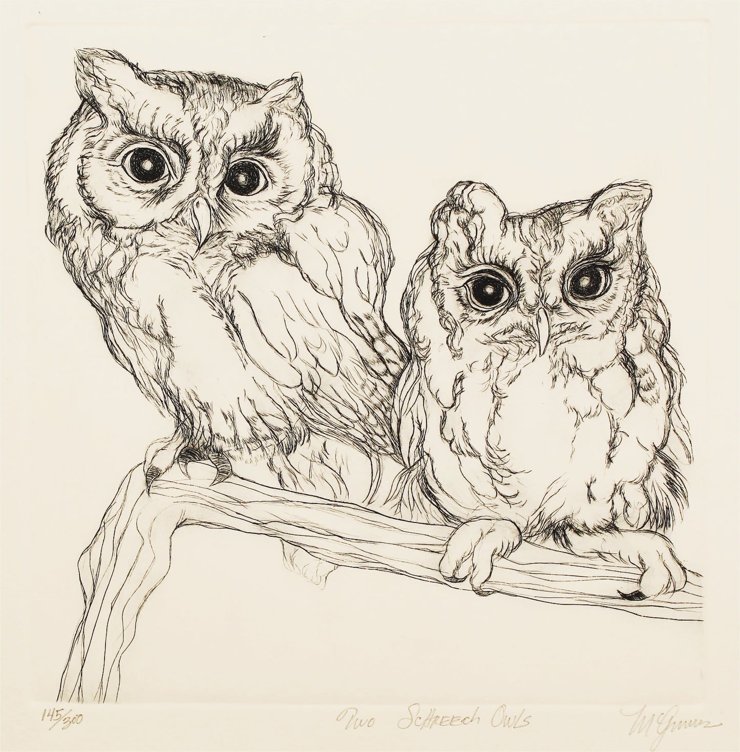 PFA11 "Two Screech Owls" etching by Christine McGinnis, Printed by David Lynch ca. 1968