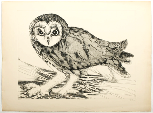 PFA11 - "Short-Eared Owl" etching by Christine McGinnis, Printed by David Lynch ca. 1965