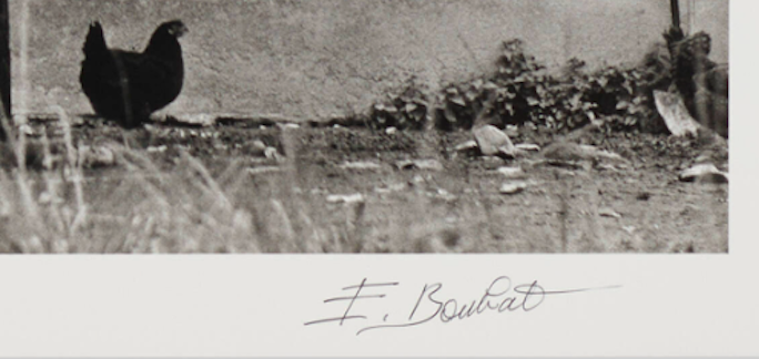 "La Poule et l'Arbre, Pau, France" - Édouard Boubat, 1950, Signed, Titled, Dated