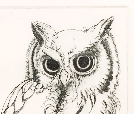 PFA11 "White Faced Scops Owl" etching by Christine McGinnis, Printed by David Lynch