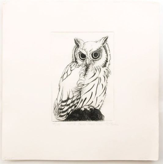 PFA11 "White Faced Scops Owl" etching by Christine McGinnis, Printed by David Lynch